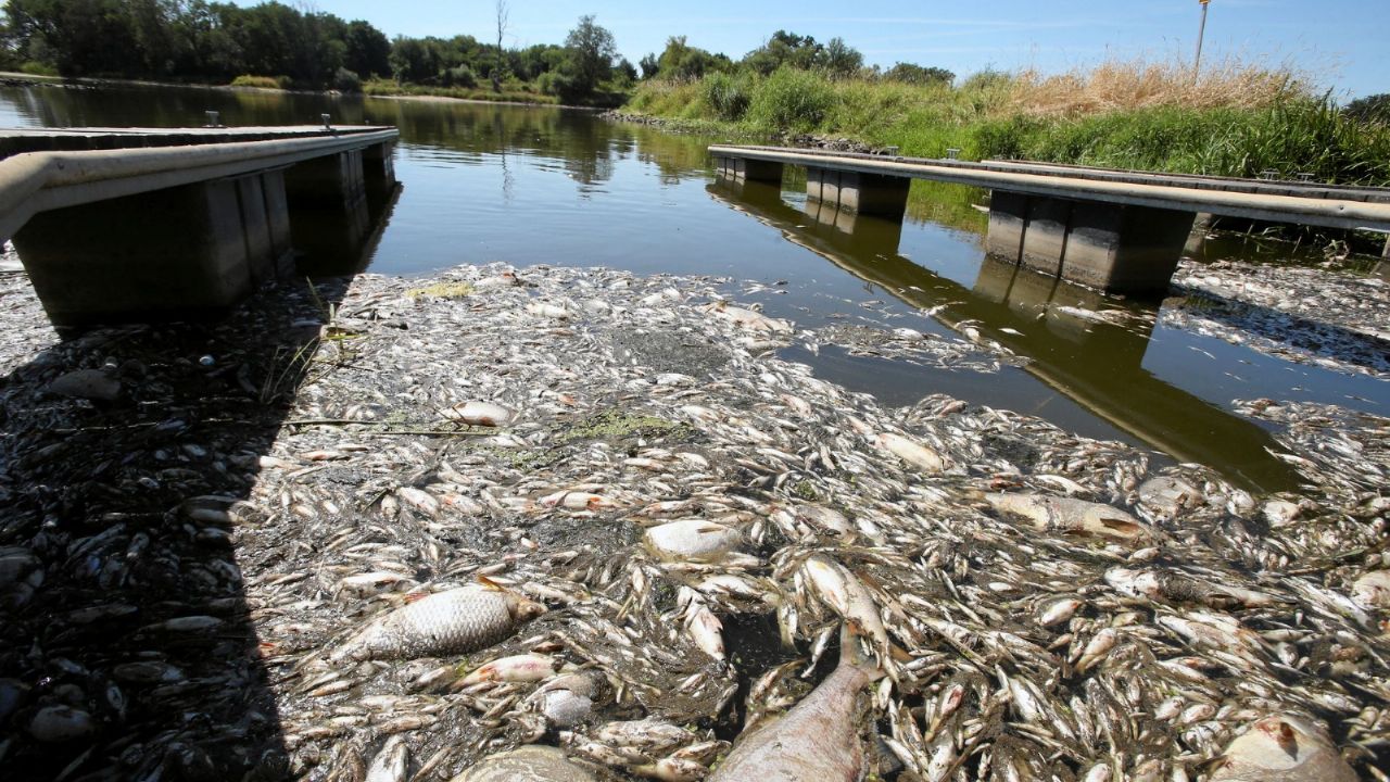 Alerta Por Sequ A En Presa De Tepeji Del R O Que Dej Toneladas De