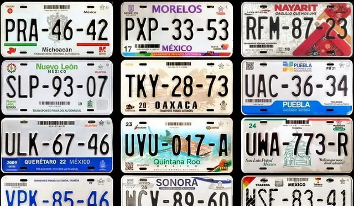 Estas Son Las Placas Vehiculares Más Bonitas Del 2022 Nv Noticias 7712