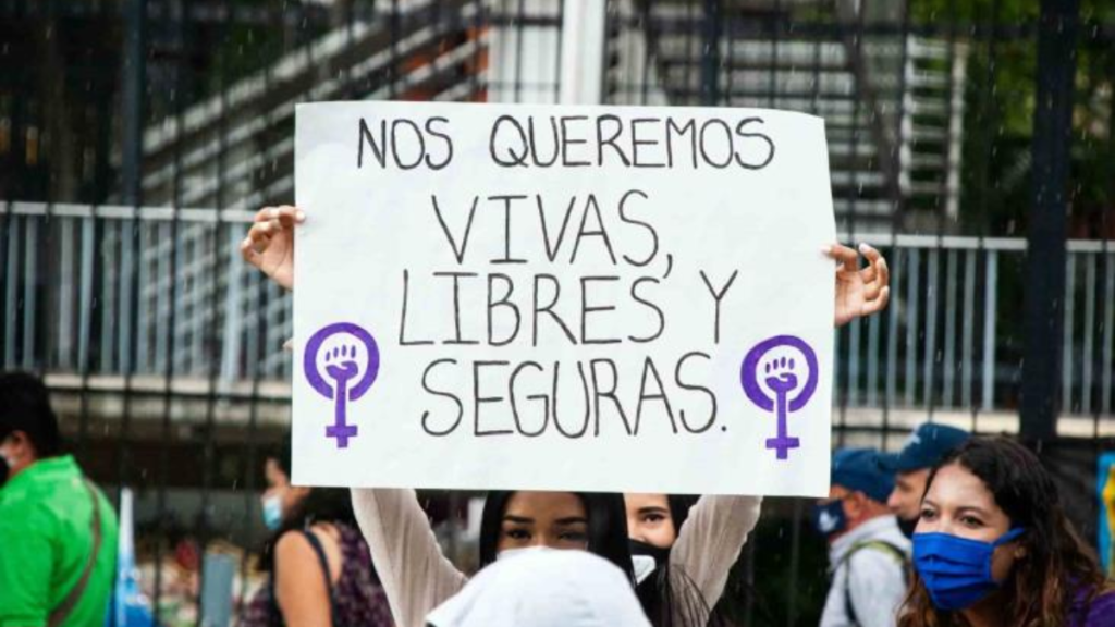 Marcha 25N por la Eliminación de Violencia contra la Mujer – NV Noticias