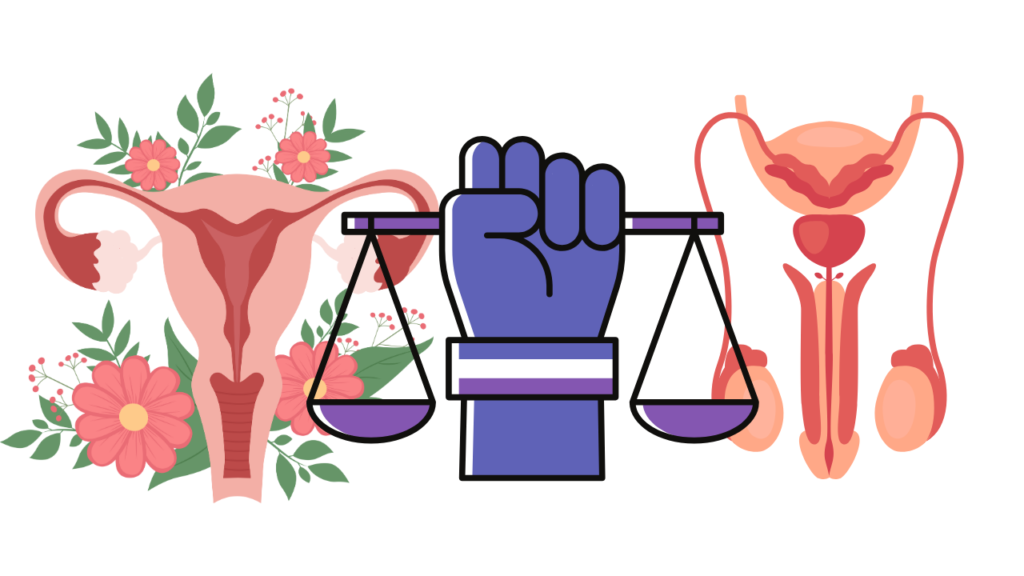 Los derechos sexuales y reproductivos en Veracruz – NV Noticias