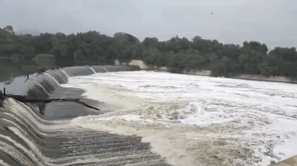 represa hidalgo